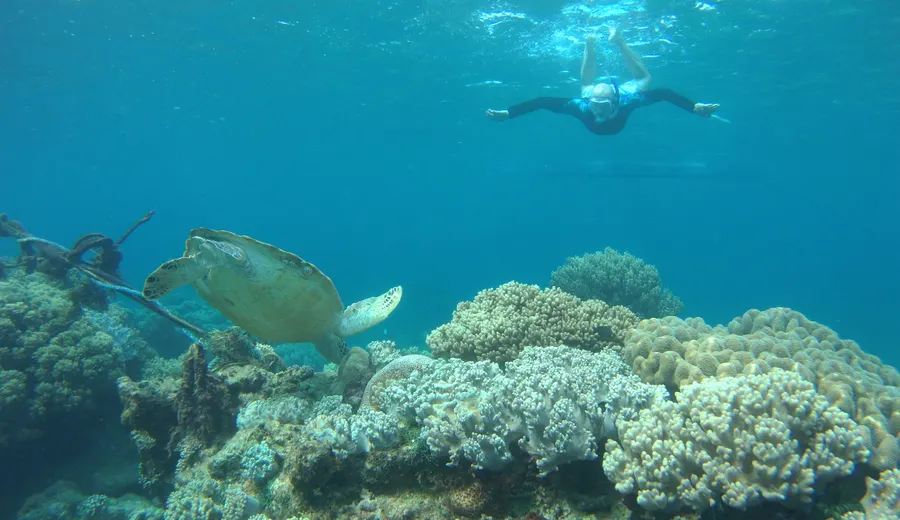 Jour 2 en Guadeloupe