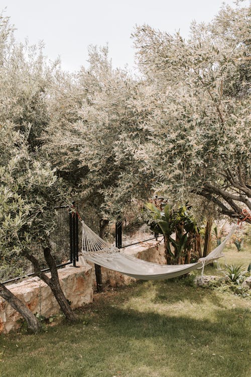 Free Home Garden With Hanging Hammock Stock Photo