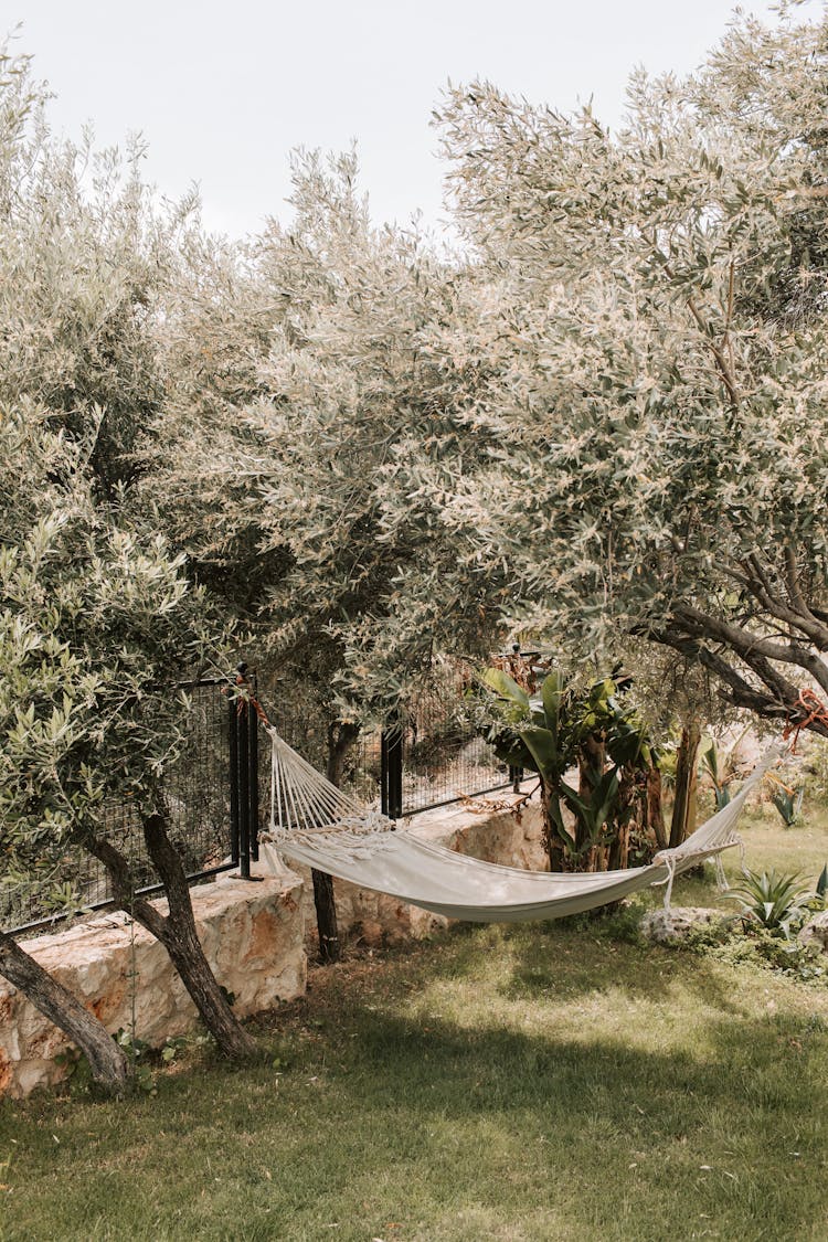 Home Garden With Hanging Hammock