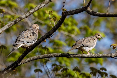 Безкоштовне стокове фото на тему «@outdoor, барвистий, білий»