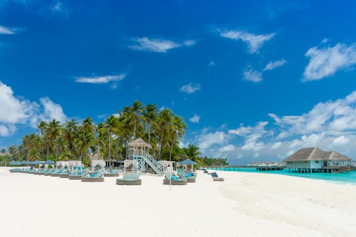 Picturesque view of tropical resort with empty white sandy coastline and green palms and sunbeds under blue umbrellas on bright sunny day