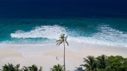 Breathtaking aerial shot of person standing alone on exotic beach with white sand in front of turquoise waving ocean water on sunny day