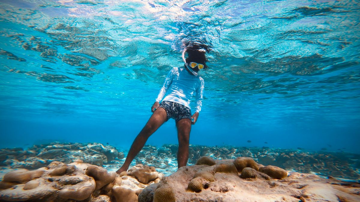 Person snorkeling over vibrant coral reef in crystal clear tropical waters.