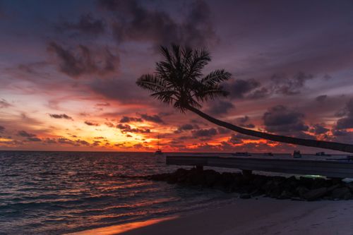 Free Amazing seascape of waving sea washing tropical sandy coastline with pier and palm during picturesque sunset on cloudy sky Stock Photo