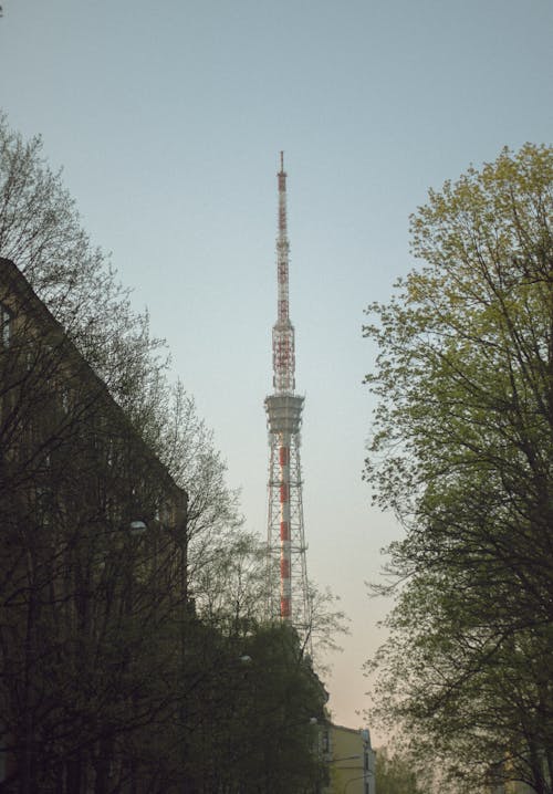 Low angle of high mobile phone communication antenna with trees and buildings in town