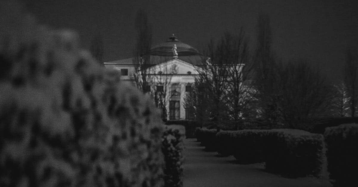 Free stock photo of black and white, dark, night