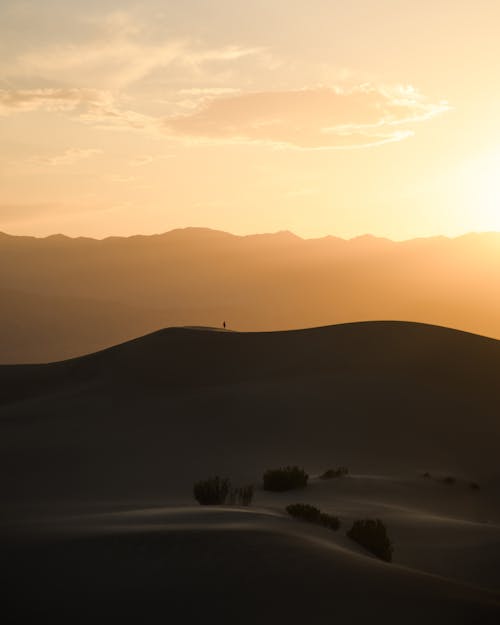 Desert Land during Sunset