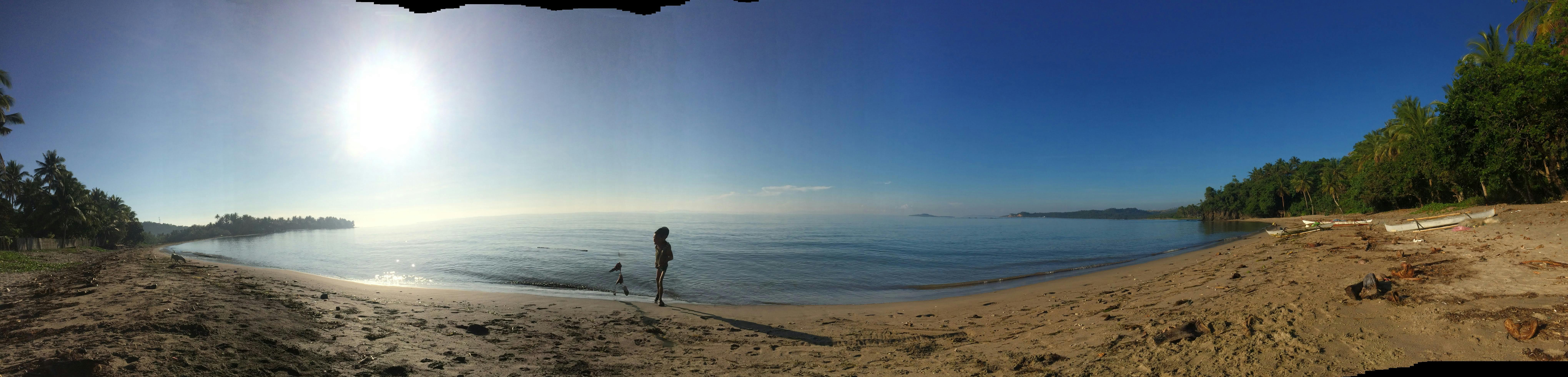 Chaga: El Diamante del Bosque para una Defensa Antioxidante Superior | Blog EonLifeX