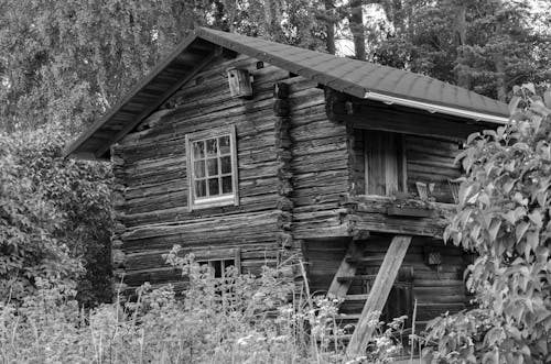 Photos gratuites de Bâtiment moderne, cabane, cabane en bois