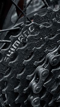 Detailed macro shot of a bicycle gear and chain mechanism highlighting texture and design.