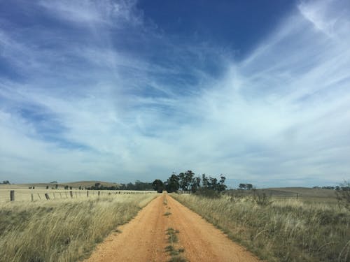 Dirt Road Between the Grass Field 