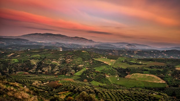 A stunning aerial view of a lush valley with mountains in the distance during a vibrant sunset.