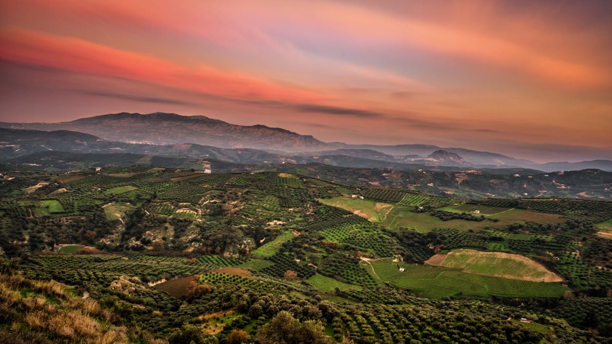 Green Field Photo