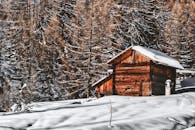 一座质朴的木屋坐落在宁静的冬季森林中，周围环绕着白雪皑皑的树木