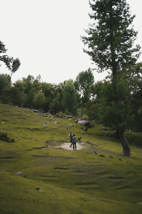 Free A serene scene of people walking through a green meadow with trees and rocks under a bright sky. Stock Photo