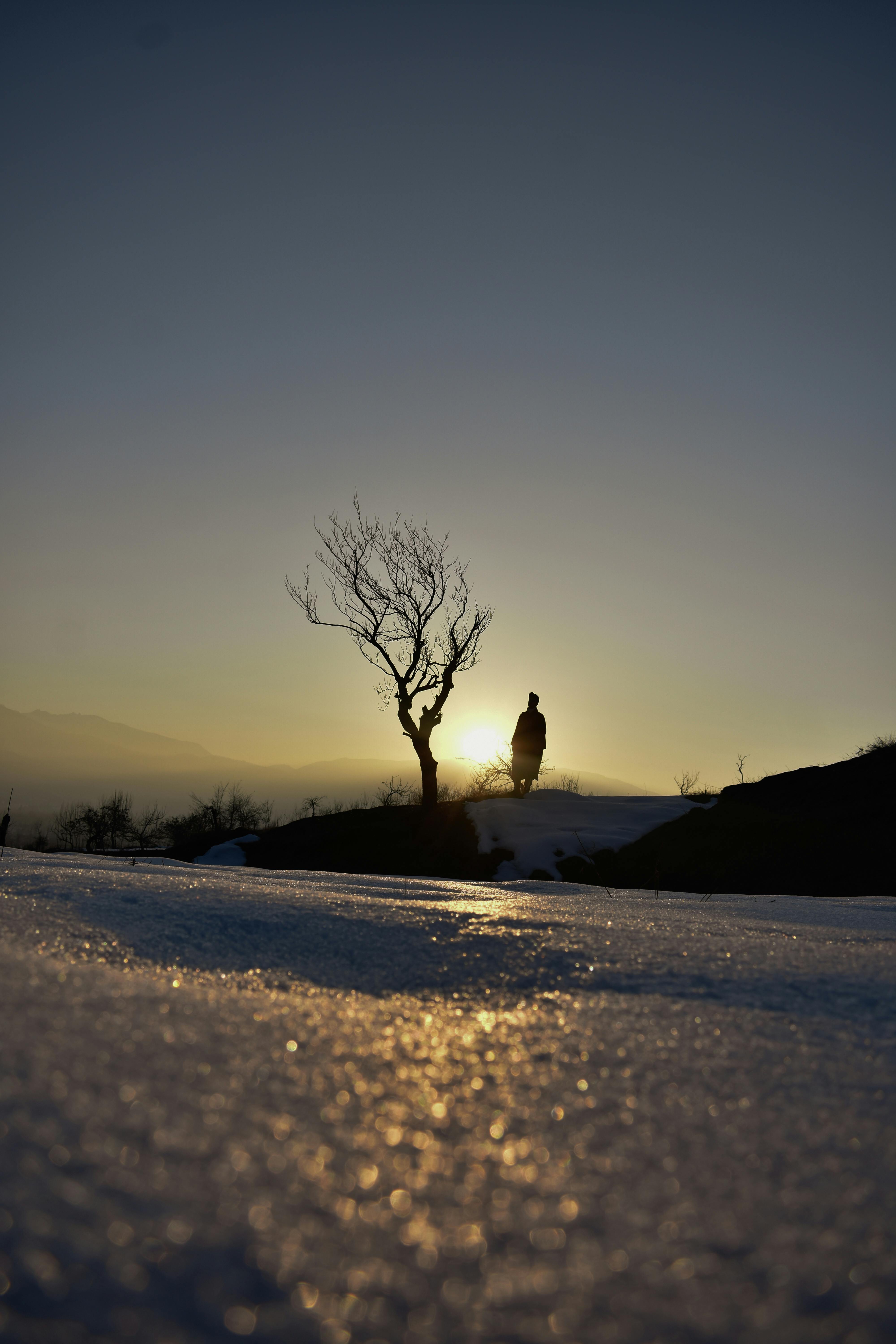 Prescription Goggle Inserts - A lone figure walks near a leafless tree at sunrise on snowy hills, creating a stunning silhouette.