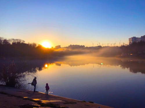 Free stock photo of child, fog, going down