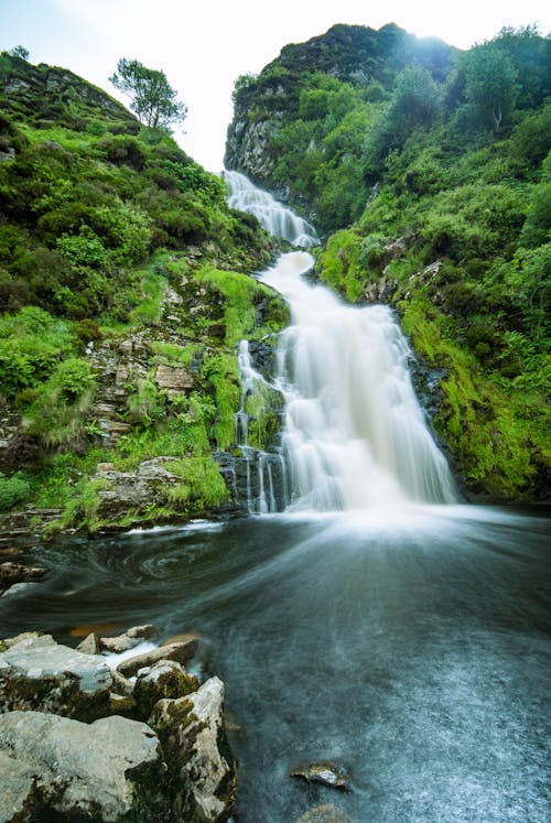 Gratis stockfoto met Bemoste rotsen, bomen, cascade