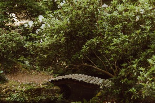 Free Tranquil garden scene with a small bridge surrounded by lush greenery, perfect for relaxation and nature appreciation. Stock Photo
