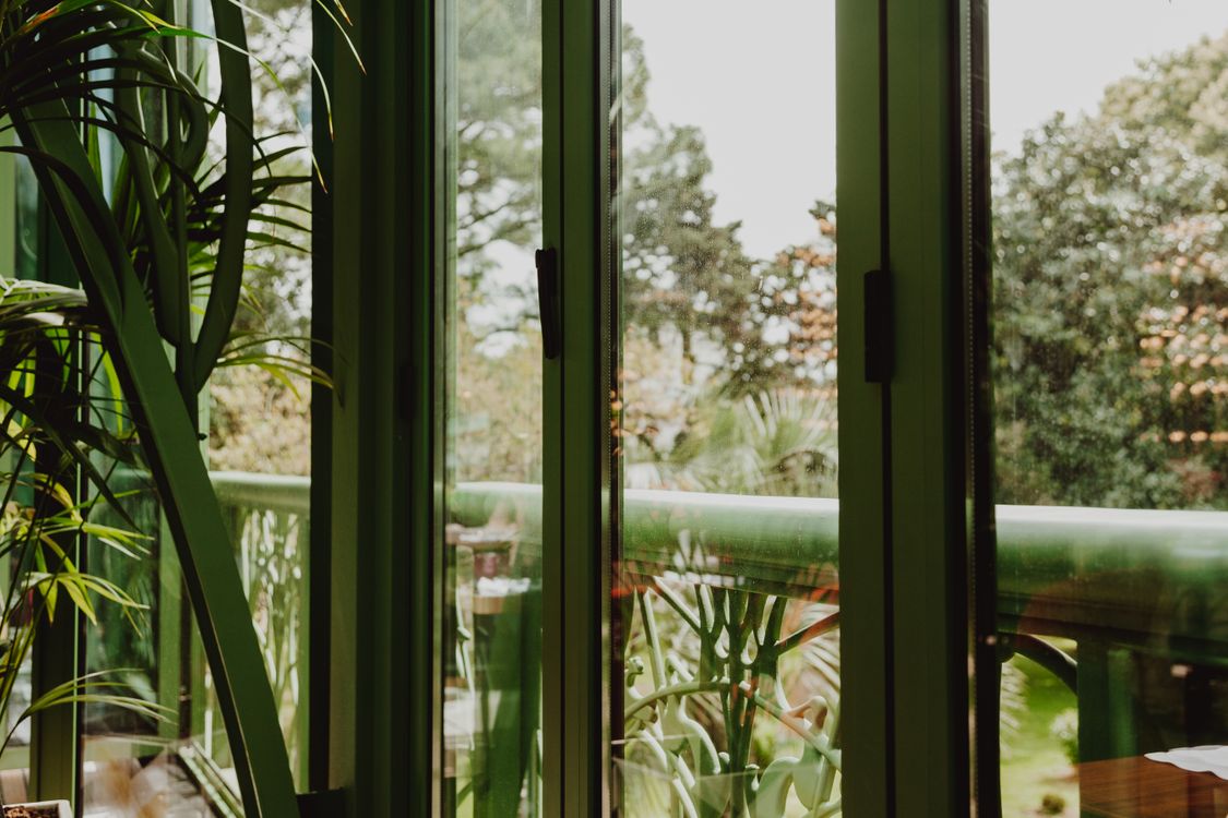 Green Windows and Plant Decorations · Free Stock Photo