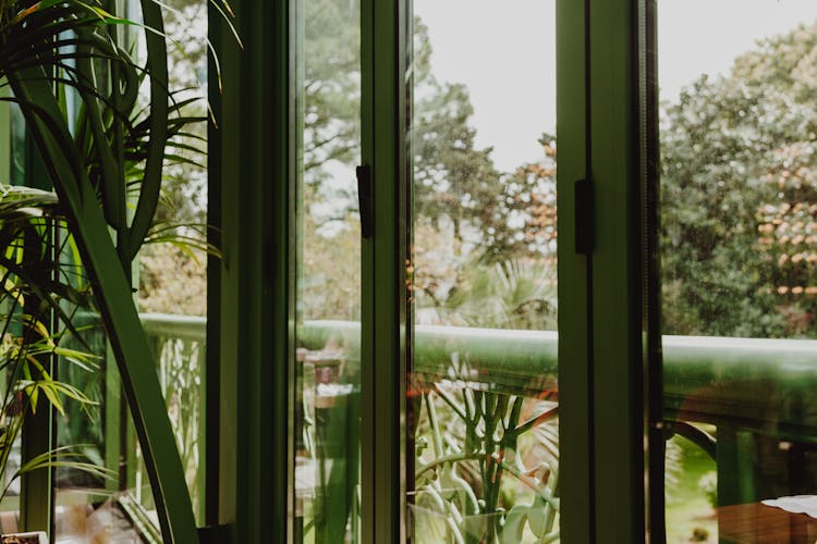 Green Windows And Plant Decorations