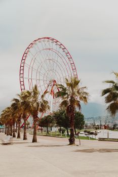 Green Palm Trees Near Ferris Wheel