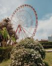 Free stock photo of carnival, carousel, circus