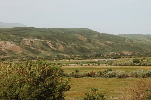 Scenic view of lush green countryside with rolling hills under a clear sky.