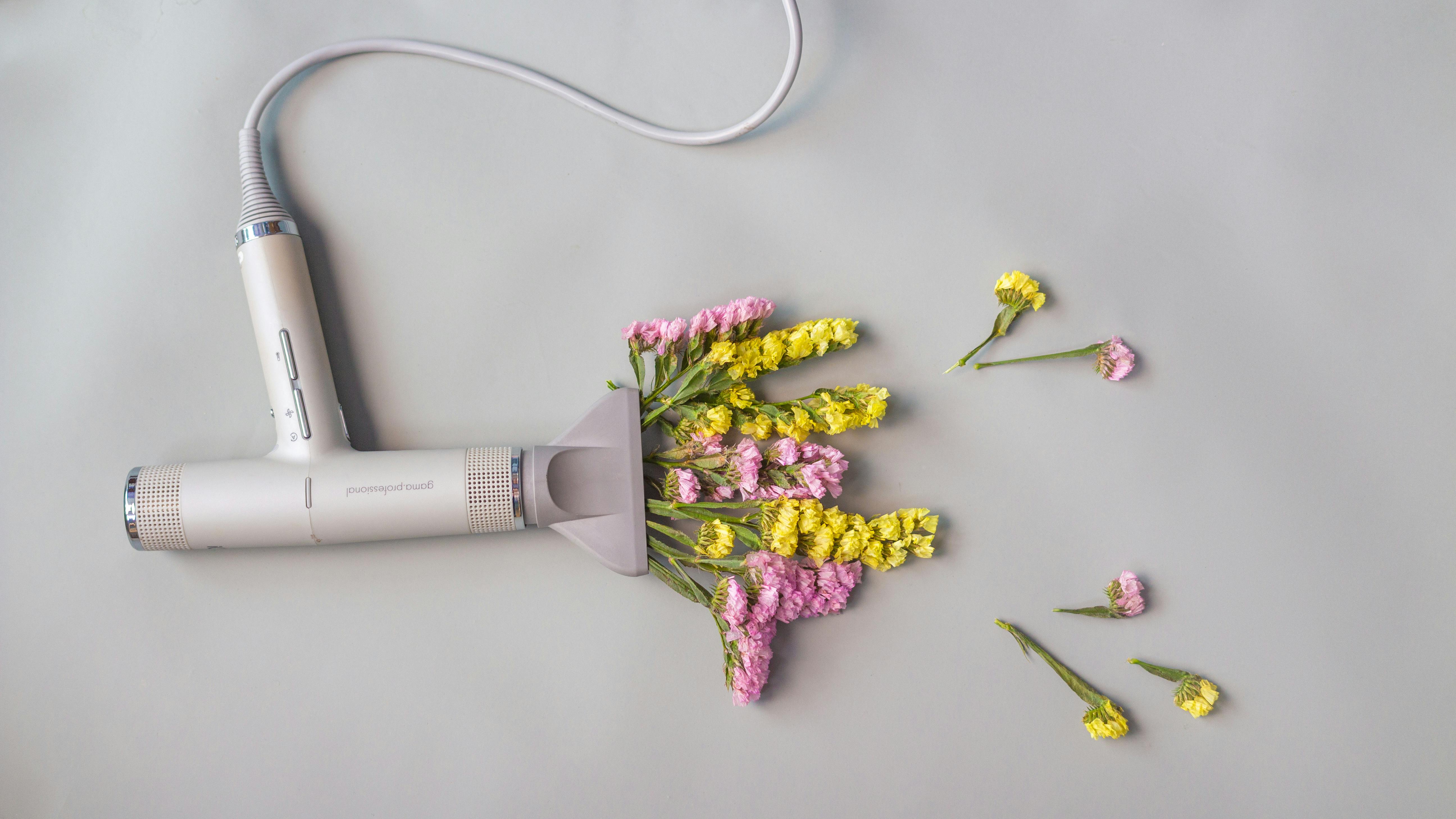 1 302  Best Free Blow dryer Stock Photos Images · 100% Royalty Free