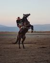 Cowboy in hat riding stubborn brown horse rearing up during ride in hilly valley at sunset