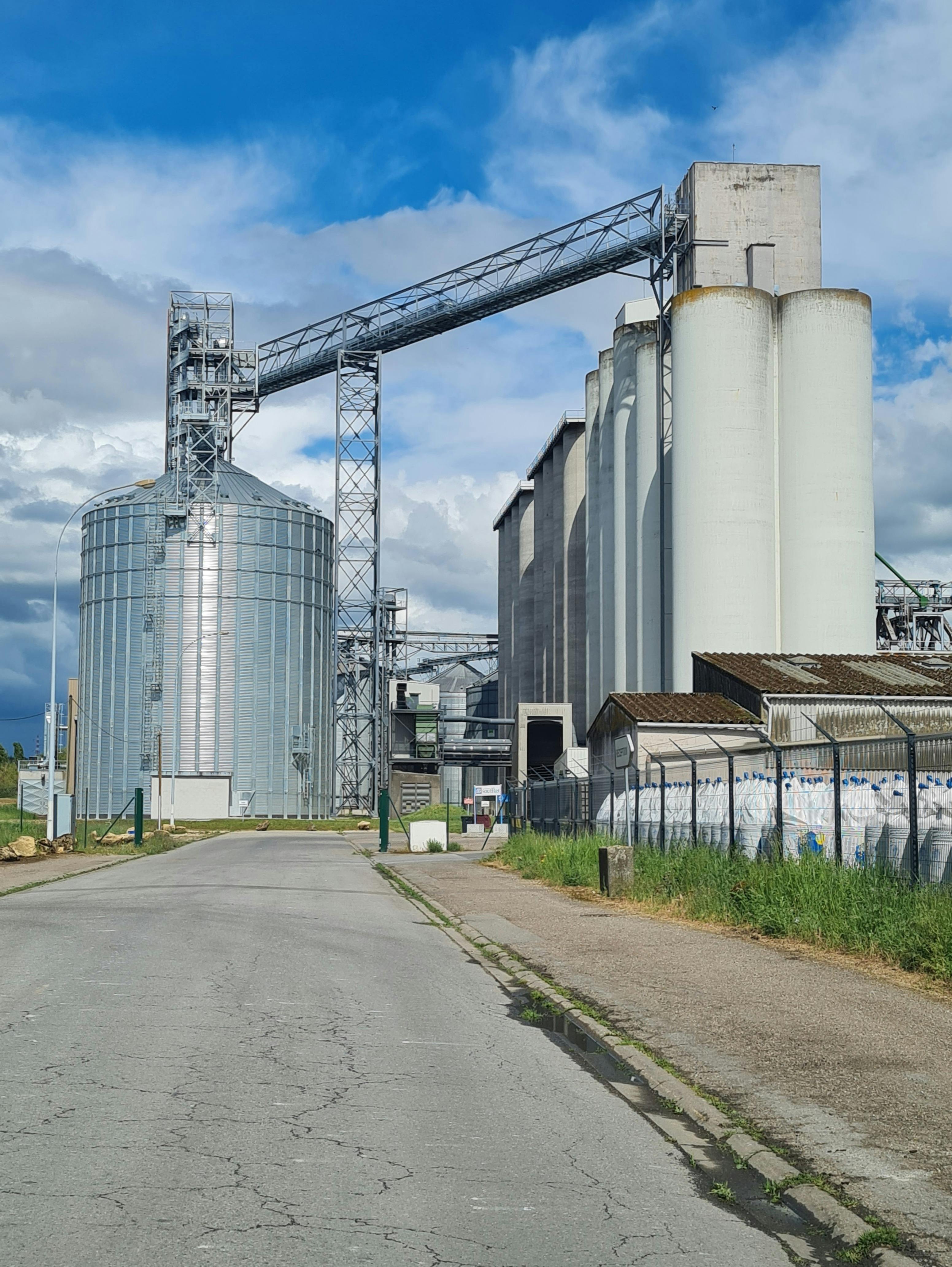 Blue digital watch on a dark liver background.