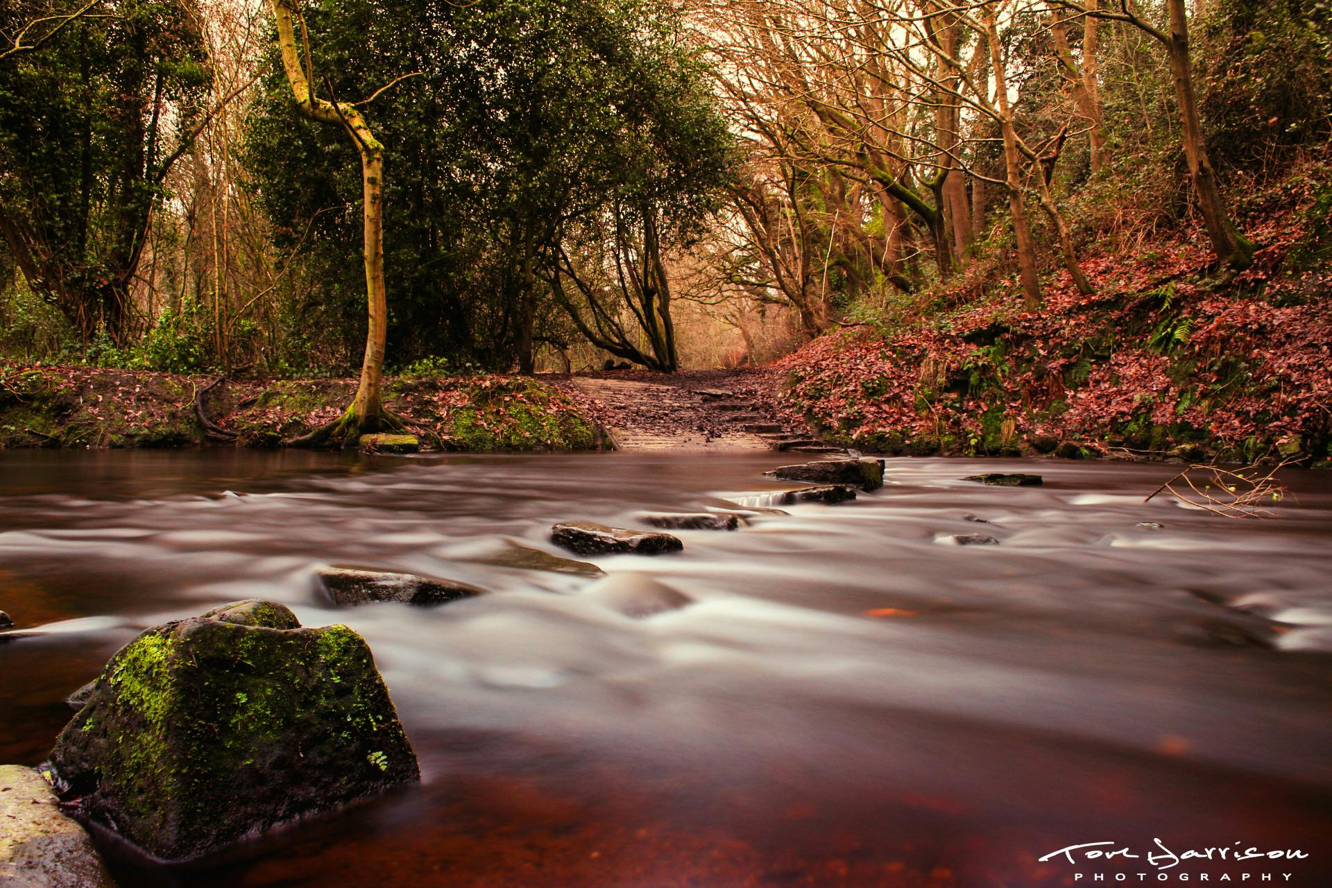 Free stock photo of Rivelin, riverbank, riverside