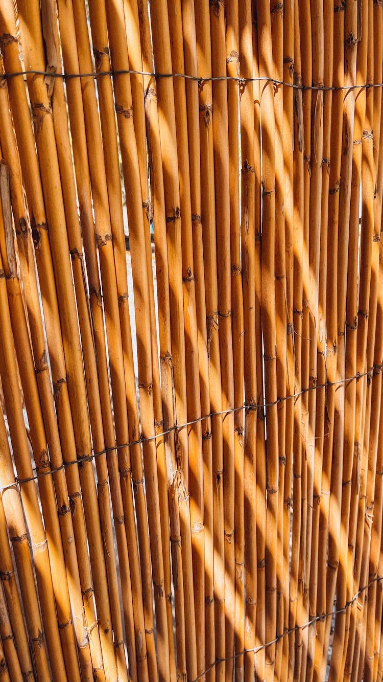 Close-up Shot Of A Bamboo Stick 