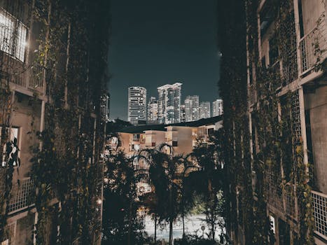 Night view of Singapore's skyline with modern buildings framed by greenery.