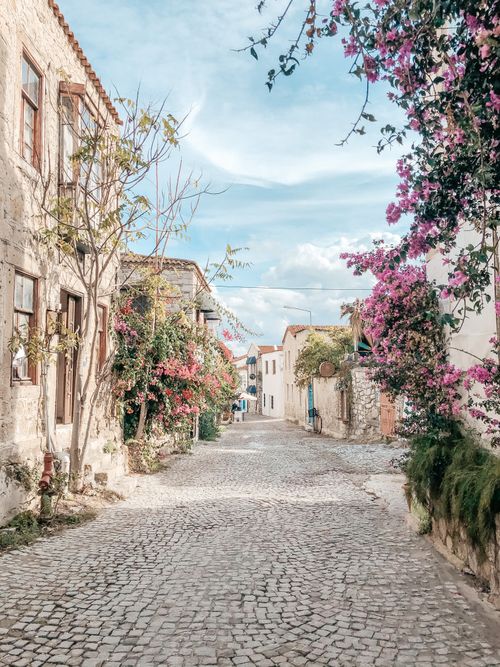 Free An idyllic cobblestone street lined with blooming bougainvillea and historic stone houses, under a clear sky. Stock Photo