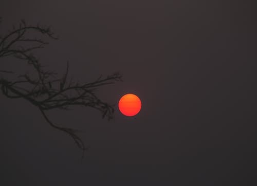 An Orange Full Moon on a Dark Sky