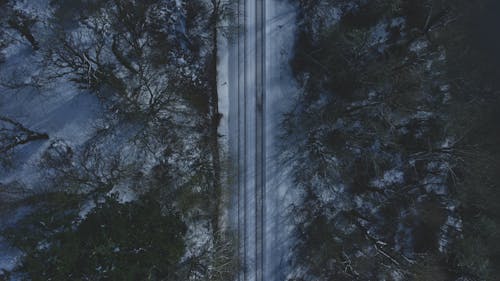  Photo of Trees and Railways on Snow Covered Ground