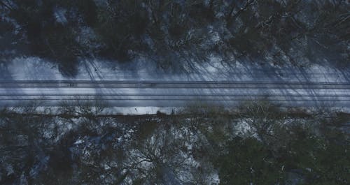  Photo of Trees and Railways on Snow Covered Ground