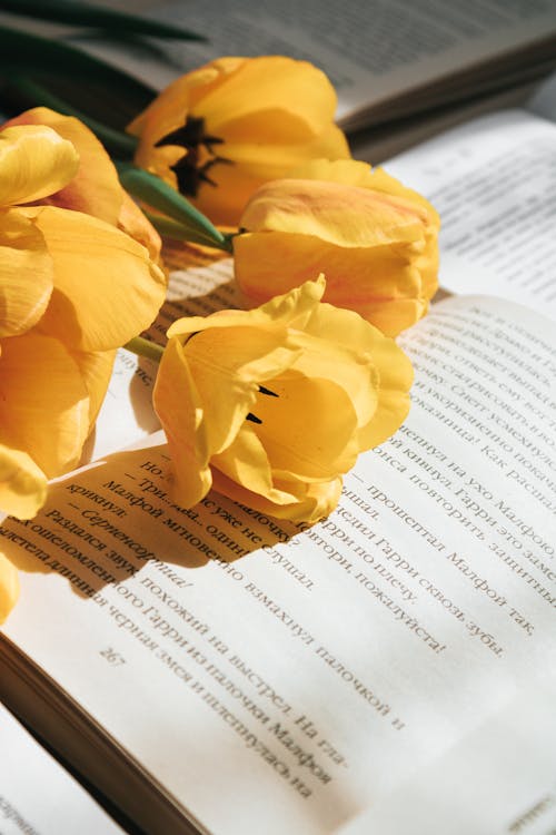 Close-Up Photo of Yellow Tulips on a Book
