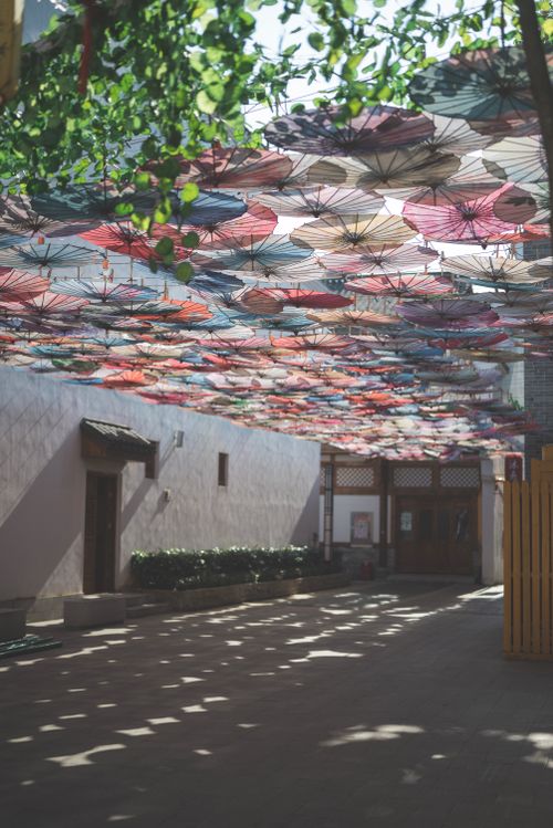 Free Vibrant umbrellas creating a colorful canopy in a serene outdoor courtyard. Ideal for summer-themed visuals. Stock Photo