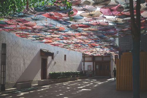 Free Vibrant oil-paper umbrellas suspended above a traditional Chinese courtyard. Stock Photo