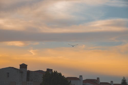 Fotos de stock gratuitas de horizonte, madre naturaleza, nubes