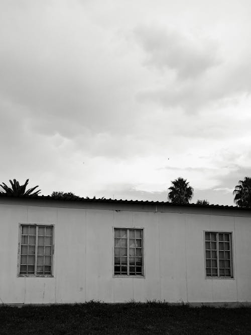 Black and White Photograph of Abandoned Building and Palm Trees