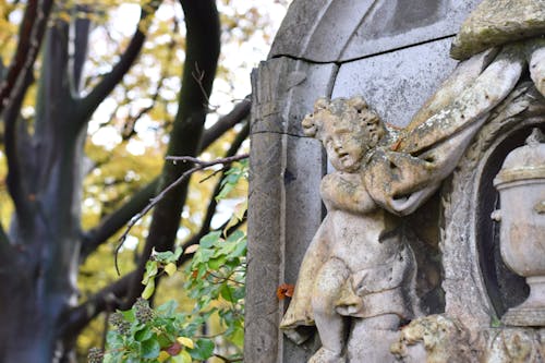 Photos gratuites de ange, cimetière, église