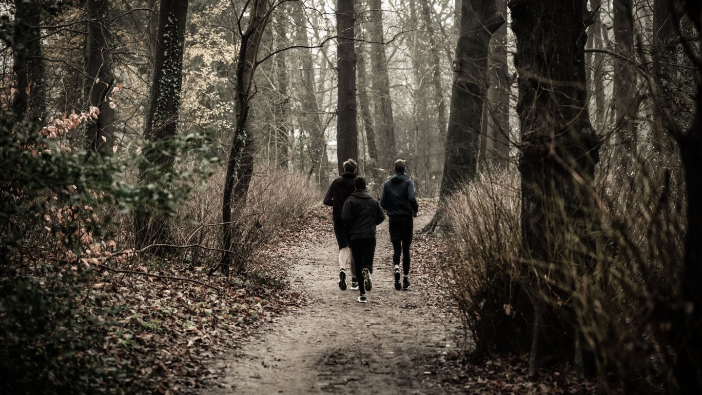 Trail running en automne 2026 : courir en forêt quand les couleurs explosent