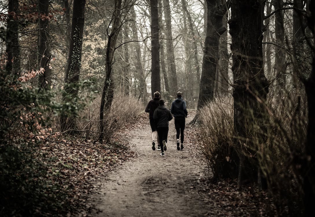 Monochrome Photography of People Jogging Through The Woods