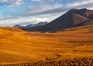 Brown Field Near Mountain