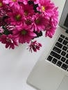 明亮的粉色花朵与办公桌上干净的银色笔记本电脑形成鲜明对比，展现了现代办公室的装饰风格