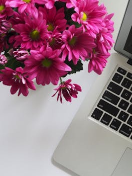 明亮的粉色花朵与办公桌上干净的银色笔记本电脑形成鲜明对比，展现了现代办公室的装饰风格