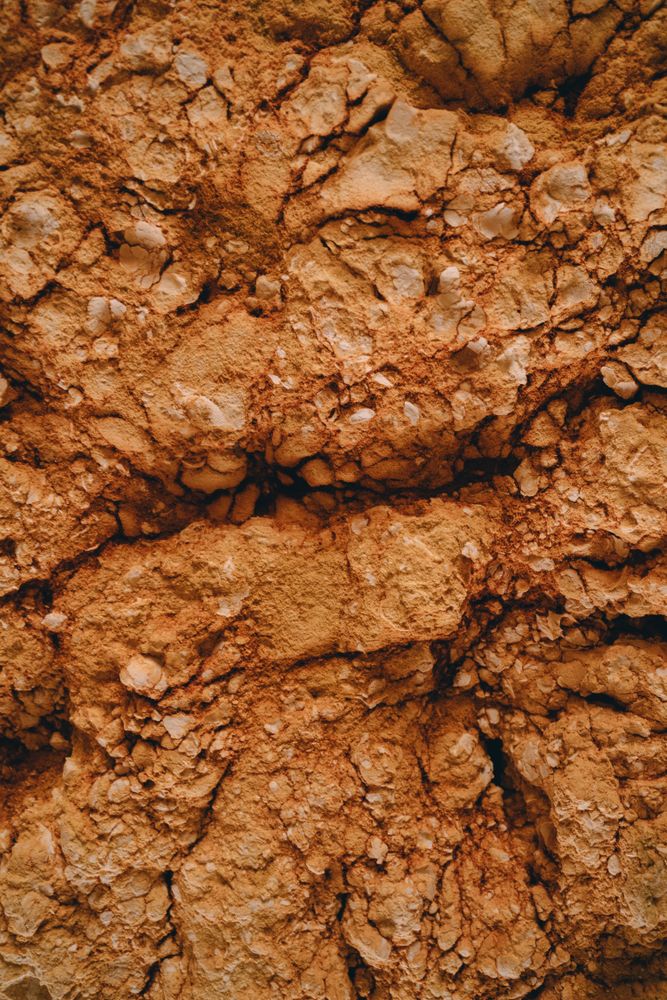 Soil Images Photos, Download The BEST Free Soil Images Stock Photos ...